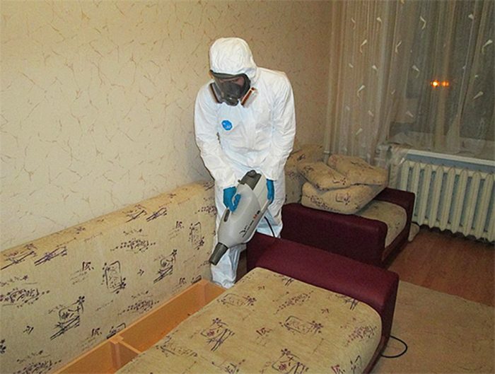 מדביר מטפל ברהיטים