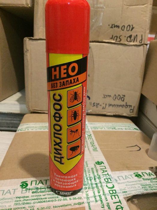 דיכלורבוס ניאו