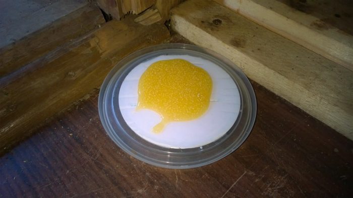 פיתיון ג'וקים