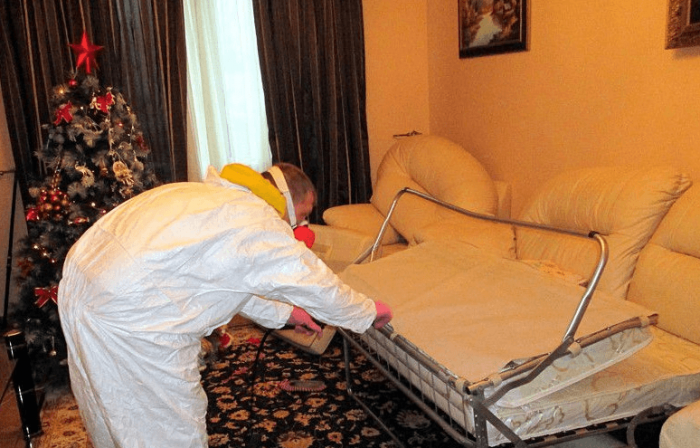 טיפול ברהיטים נגד פשפשים