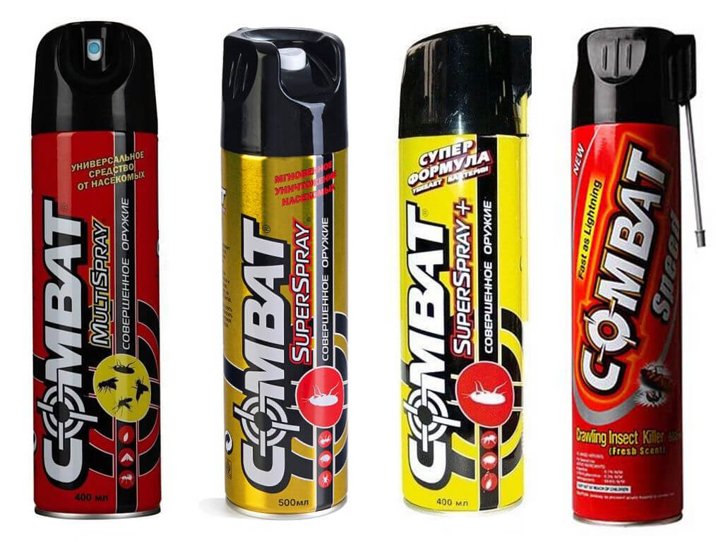 אילו מוצרי Combat יכולים לעזור להילחם בפשפשי מיטה?