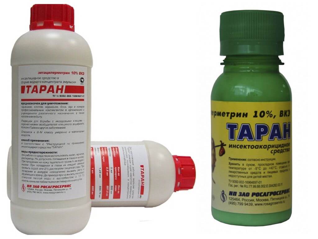 נגיחה של קרציות: כיצד להשתמש בה נכון