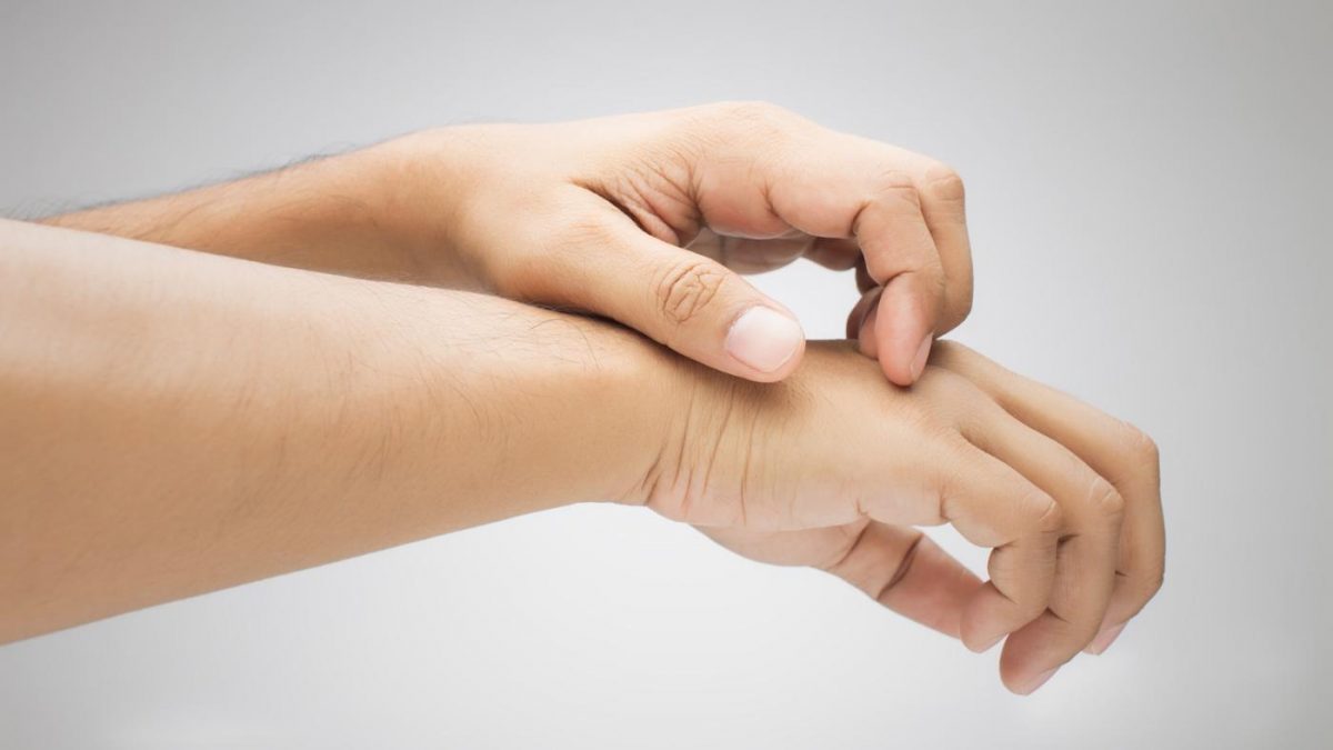 המיטה מגרדת