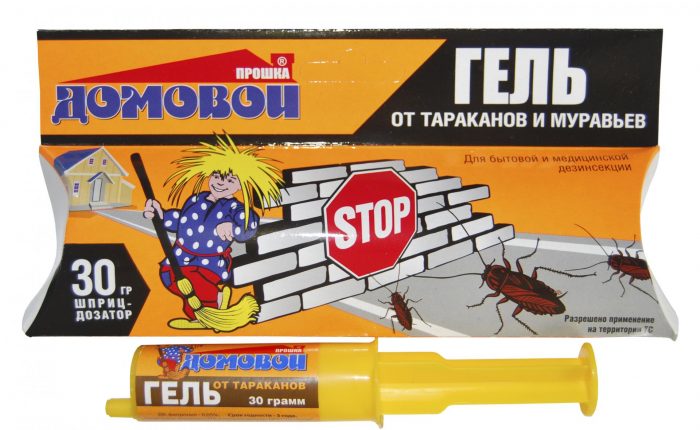 ג'ל בראוניז