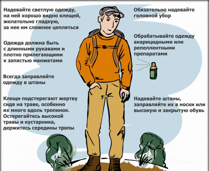 תרשים של לבוש מתאים לפיקניק