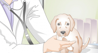 הוראות לטבליות Frontline 1