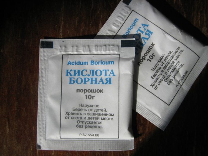 חומצה בורית