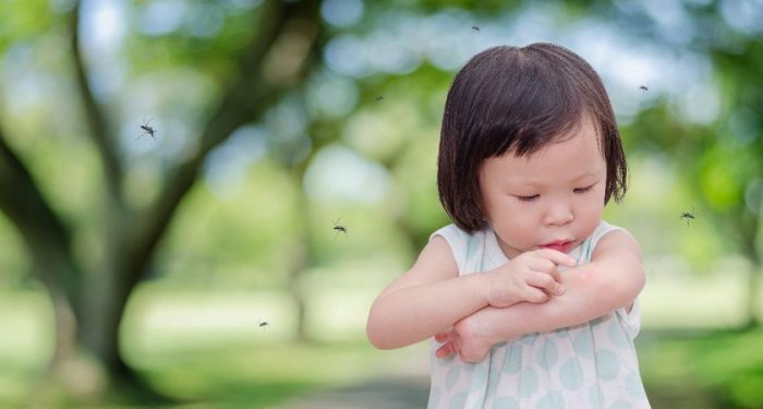 ילד ויתושים מסביב