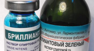 דברים ירוקים