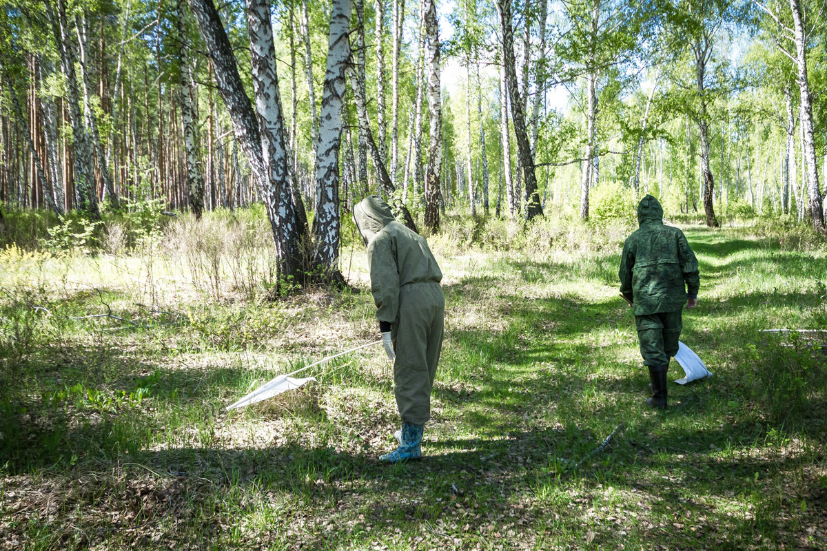 שיטות להתמודדות עם קרציות שונות במצבים שונים