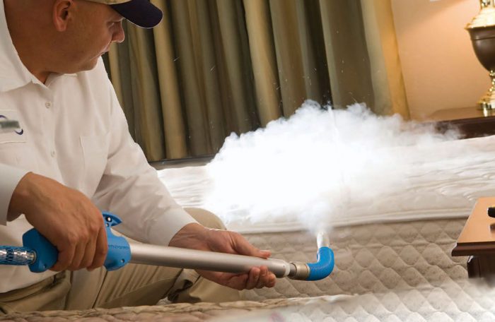 חיטוי ערפל קר