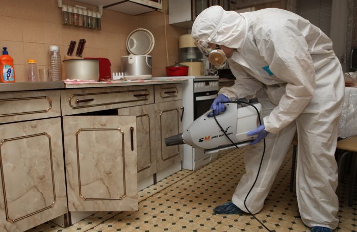 חיטוי ערפל חם