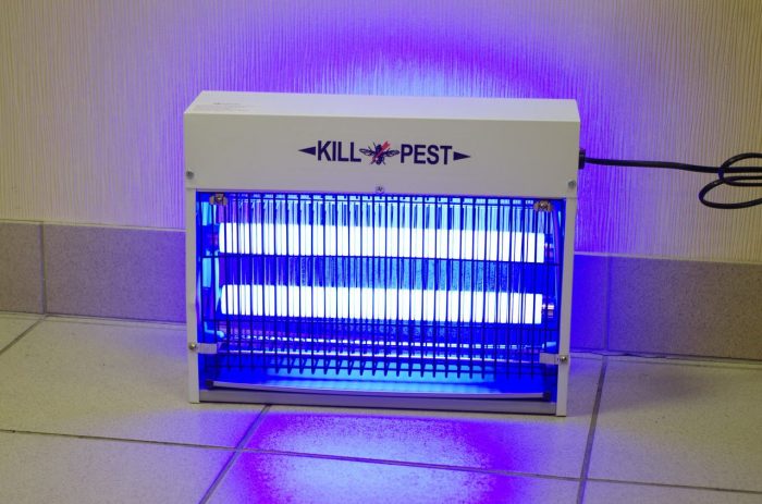 מנורת אולטרה סגול