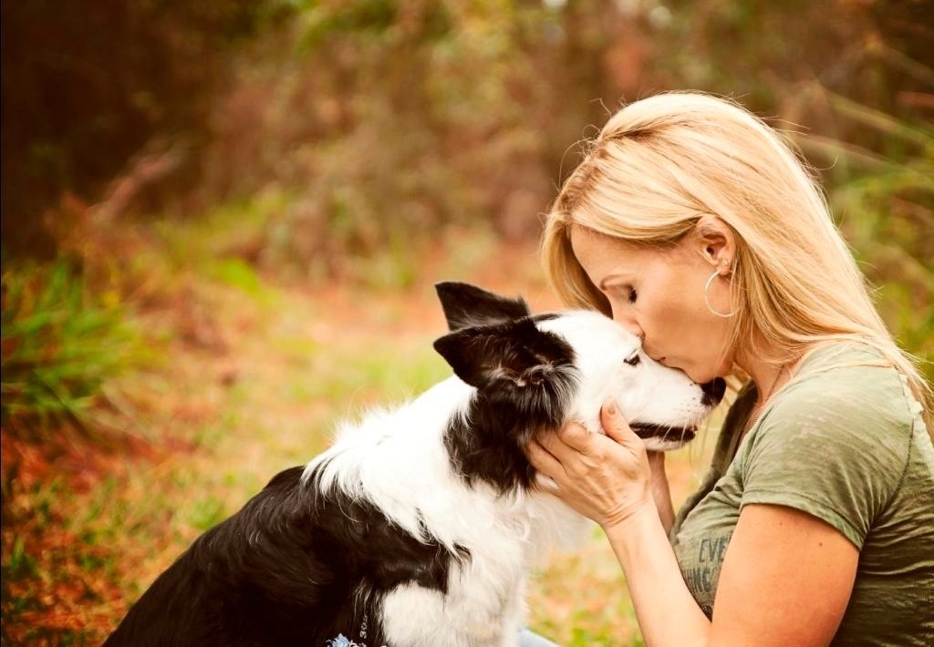 5 תכונות פיזיולוגיות של כלבים שלא ידעתם עליהן