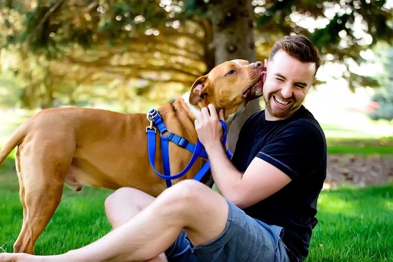 אוהב חתולים או כלבים: מה שחיית המחמד האהובה על גבר מגלה על אופיו