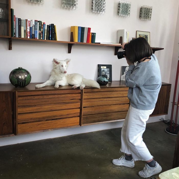 הכלב אוגוסט