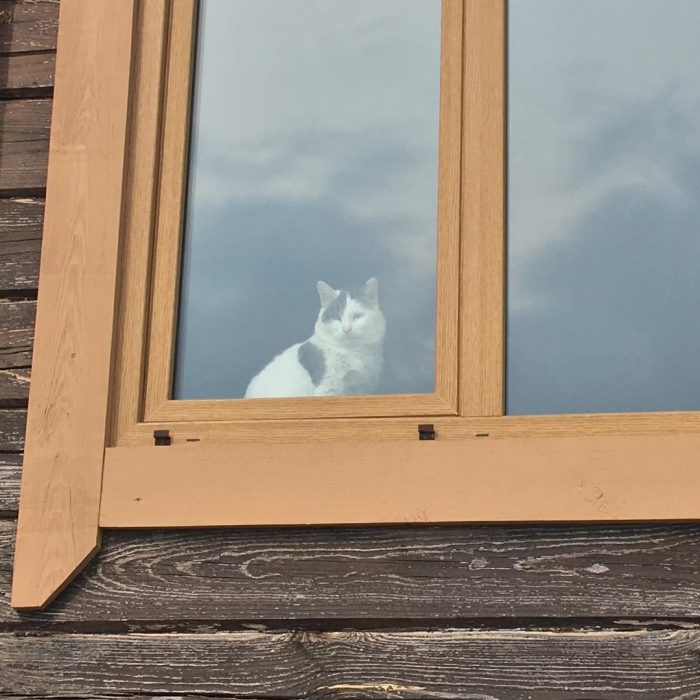 קוטיארה ברגובוי