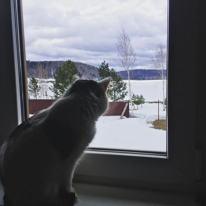 קוטיארה ברגובוי