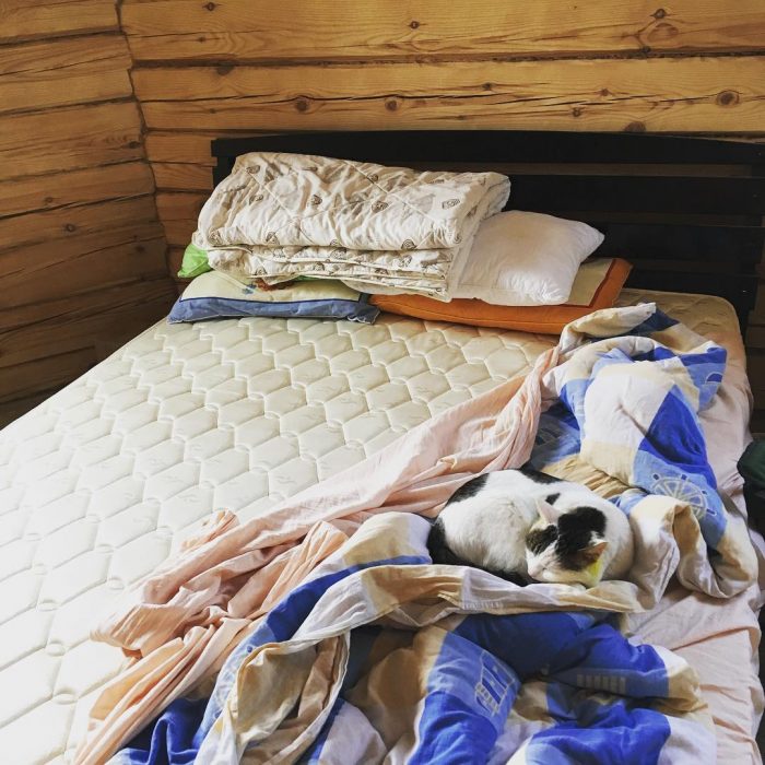 קוטיארה ברגובוי