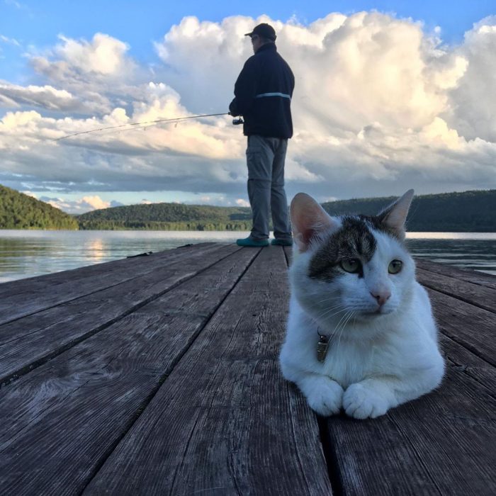 קוטיארה ברגובוי