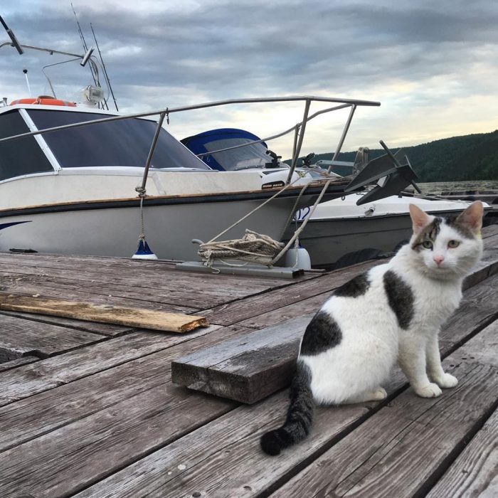 קוטיארה ברגובוי