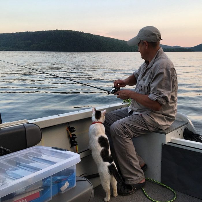 קוטיארה ברגובוי