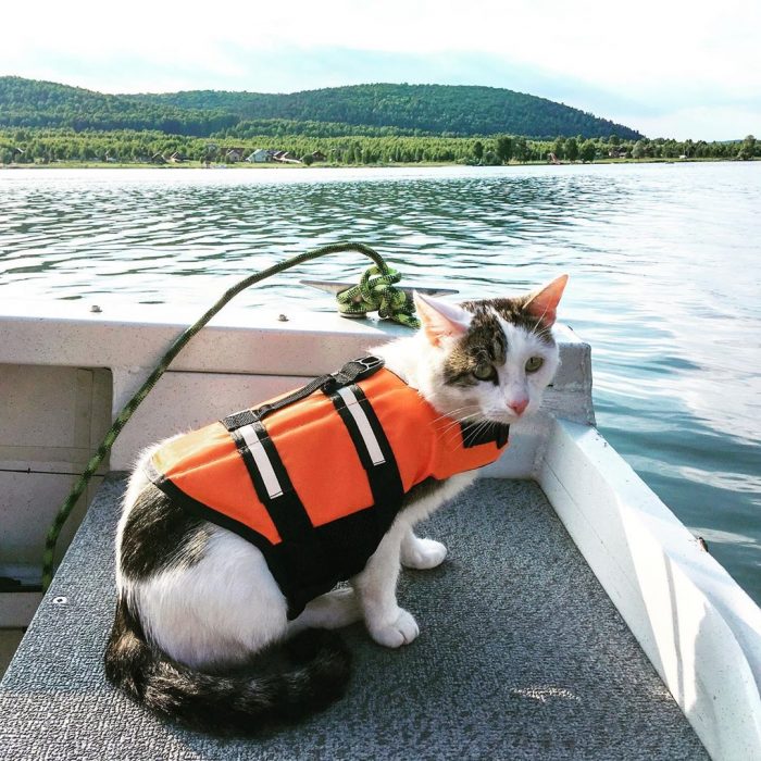 קוטיארה ברגובוי