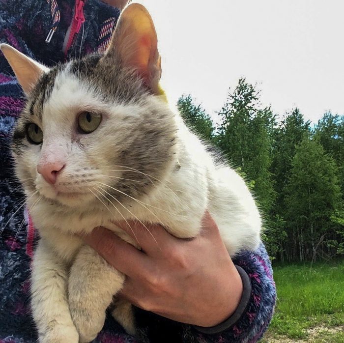 קוטיארה ברגובוי