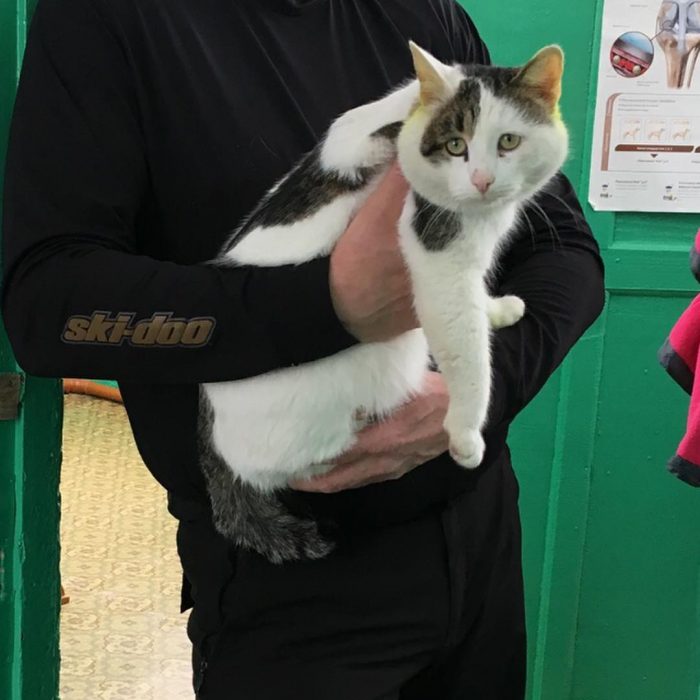 קוטיארה ברגובוי