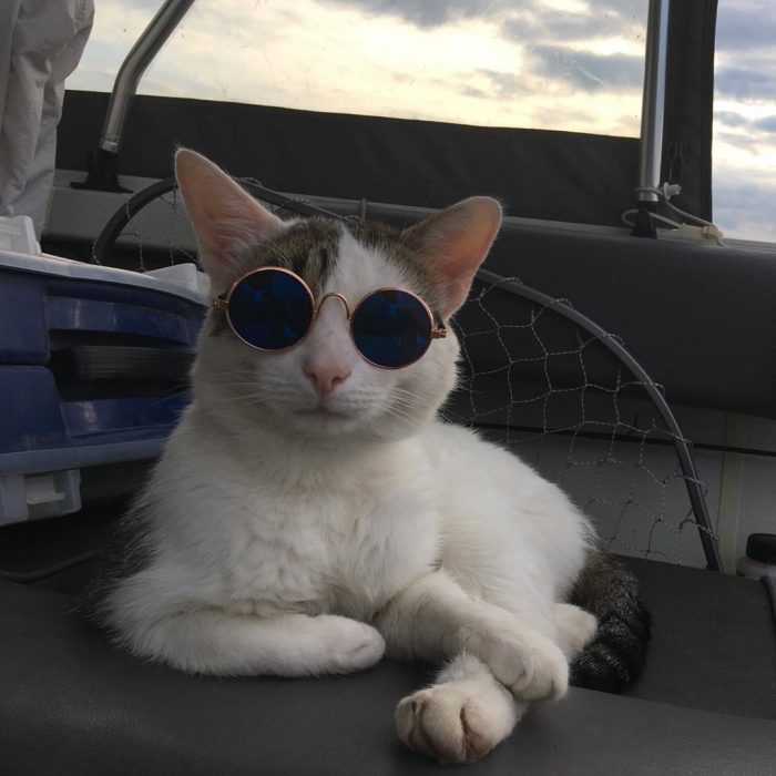 קוטיארה ברגובוי