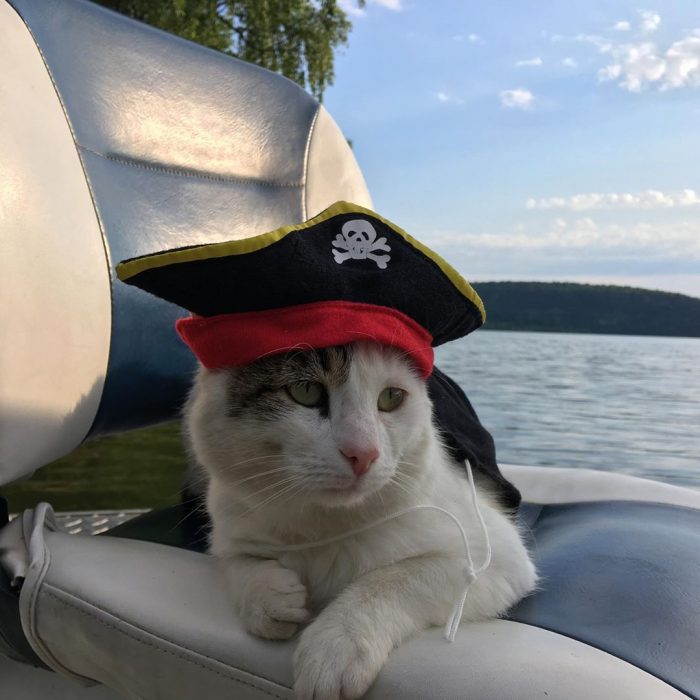 קוטיארה ברגובוי