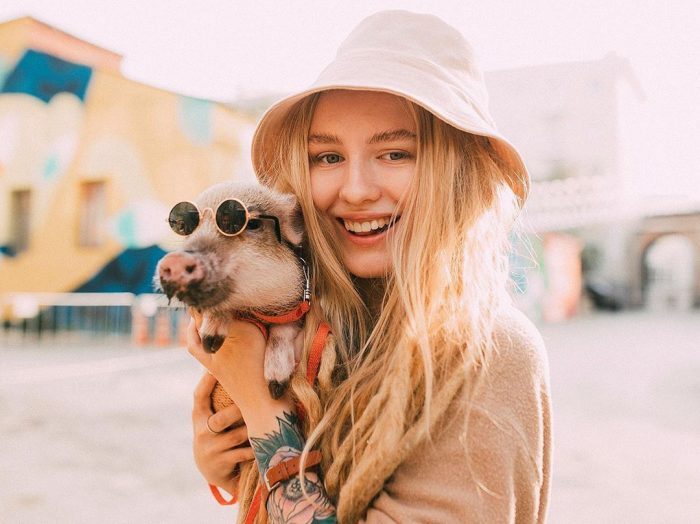 מיני פיג ג'וזפה