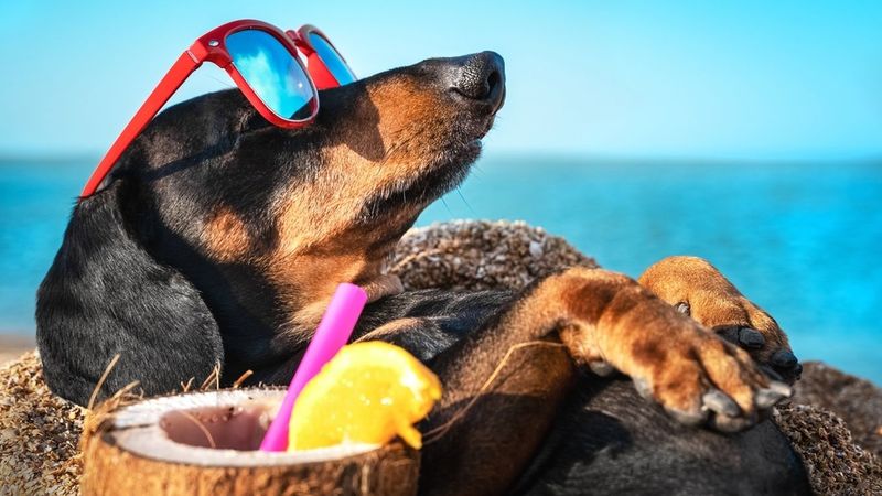 דקסהונד דין - כפתור ההפעלה הכסוף של יוטיוב