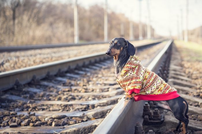 דקסהונד דין על מסילת הרכבת