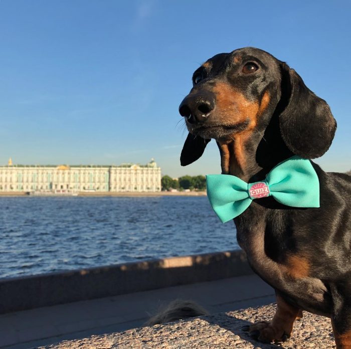 דקסהונד דין על גדת הנהר