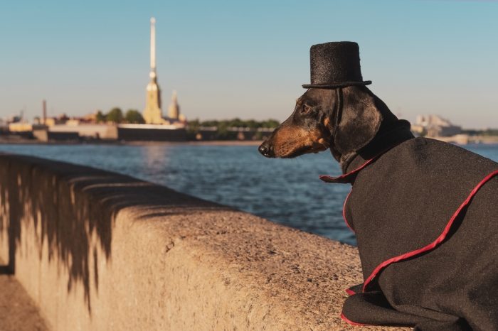 דקסהונד דין בכובע