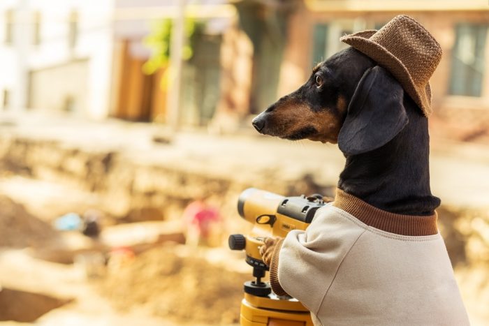 דקסהונד דין באתר בנייה