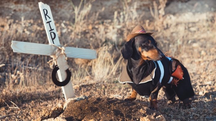 דקסהונד דין בתור קאובוי
