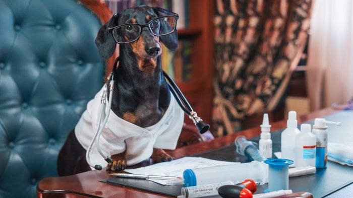 דקסהונד דין בתור הרופא הראשי