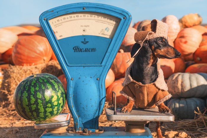 דקסהונד דין על המאזניים