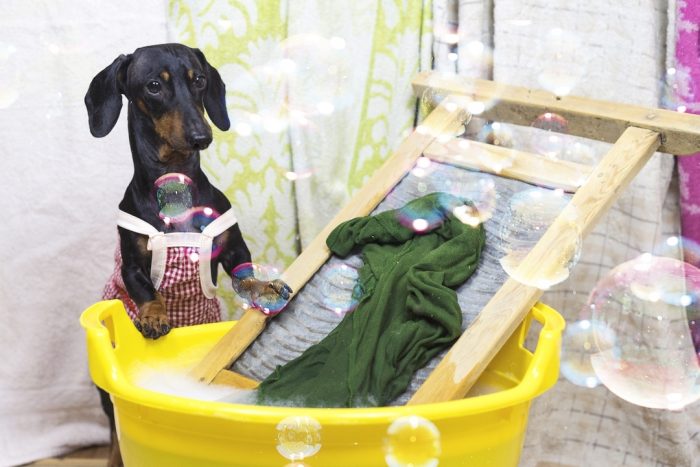 דקסהונד דין כעקרת בית