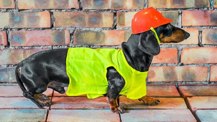 דקסהונד דין עם קסדת בנייה