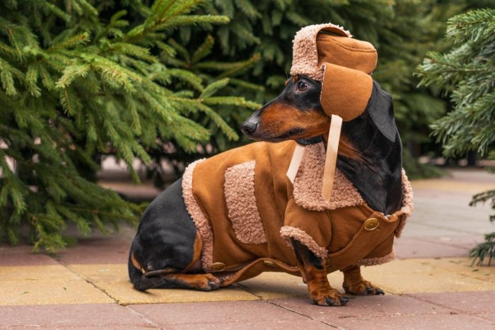 דקסהונד דין בתחפושת יוצאת דופן
