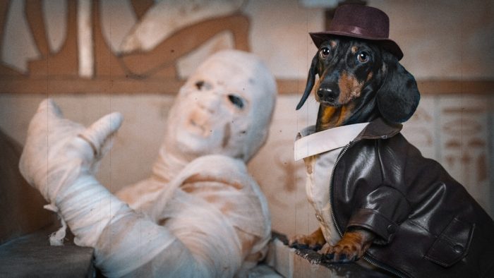 דקסהונד דין והמומיה