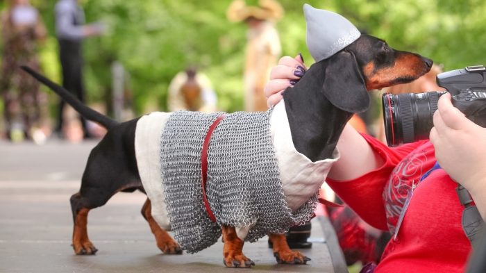 דקסהונד דין בשריון שרשרת הרואי