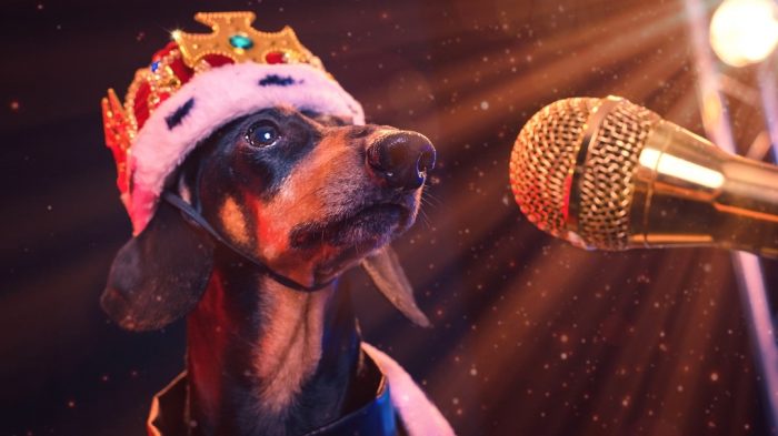 דקסהונד דין ליד המיקרופון