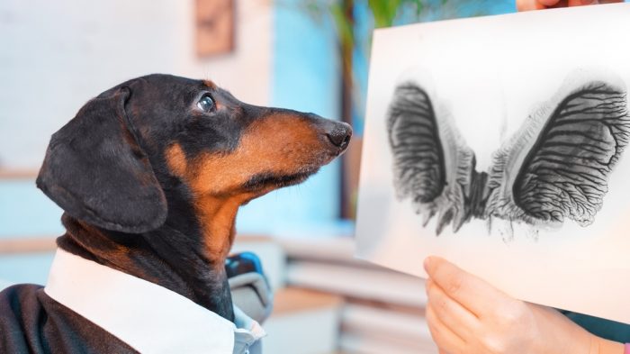 דקסהונד דין והמבחן הפסיכולוגי