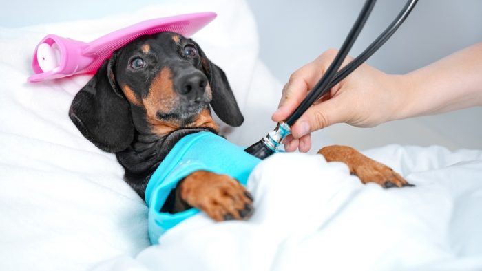 דקסהונד דין, אבל כבר כמטופל