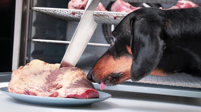 דקסהונד דין בארוחת צהריים