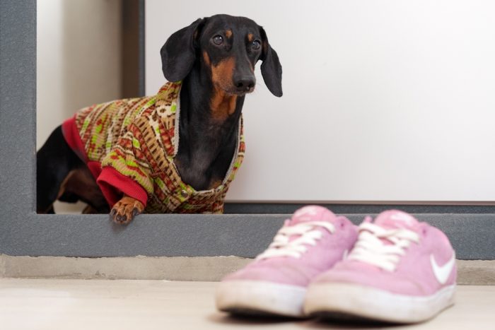 דקסהונד דין בדלת